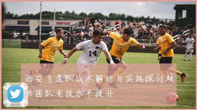 西安飞盘队战术解析与实践探讨助力团队竞技水平提升