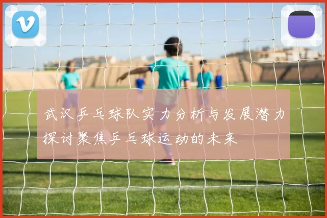 武汉乒乓球队实力分析与发展潜力探讨聚焦乒乓球运动的未来