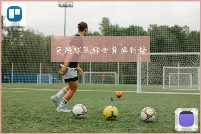 英超球队转会费排行榜