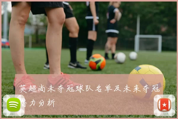 英超尚未夺冠球队名单及未来夺冠潜力分析