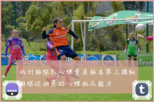 杭州排球队心理素质排名第三揭秘排球运动员的心理抗压能力