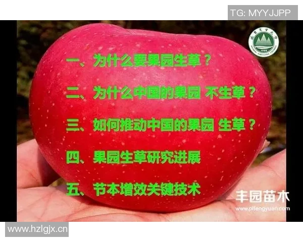 果园四季变换与生态可持续发展探讨：从栽培技术到环境保护的全方位分析